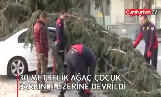 30 metrelik ağaç çocuk parkının üzerine devrildi