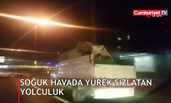 Soğuk havada yürek sızlatan yolculuk