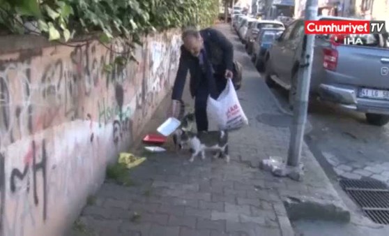 Kedi tırmığı 'adam yaralama' suçu sayıldı