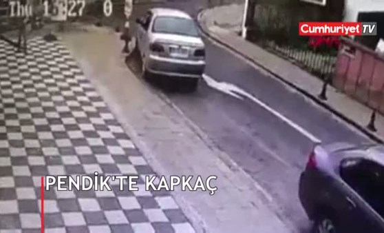 Pendik'te kapkaç