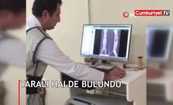 Gerçek röntgenle ortaya çıktı