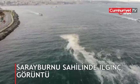 Sarayburnu sahilinde ilginç görüntü