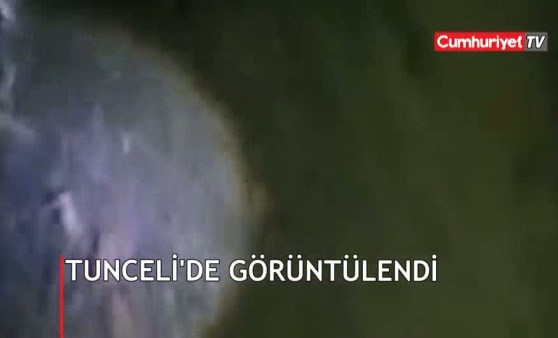 Tunceli'de görüldü: Ayakkabılarımı kemirmeye çalıştı