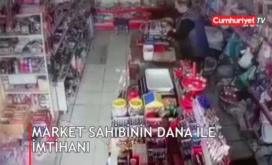 Dükkandan içeriye girdi market sahibi şoke oldu