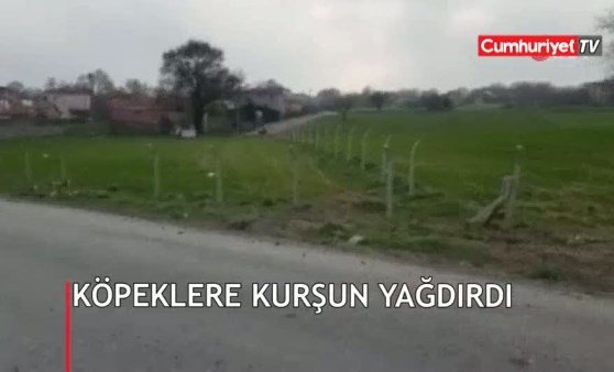 'Tavuklarımızı yiyor' deyip kurşun yağdırdı