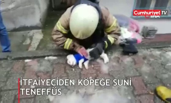 İtfaiyeciden köpeğe kalp masajı ve suni teneffüs