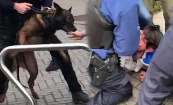 Belçika’da Türk öğrenciler ile polis arasında kavga