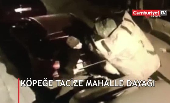 Köpeğe tacize mahalle dayağı