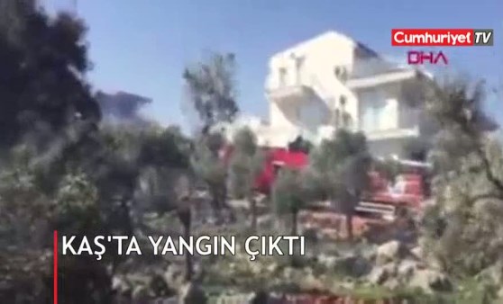 Kaş'ta zeytinlik ve fundalık alanda yangın