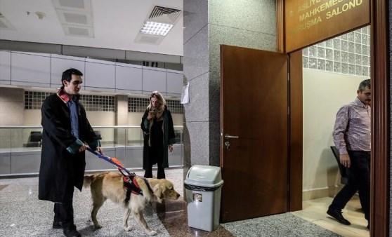 Rehber köpek duruşma salonunda