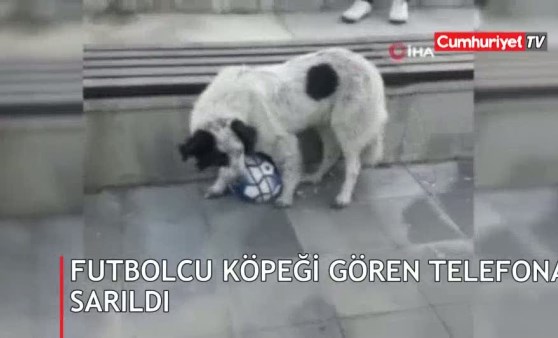 Futbolcu köpeği gören telefona sarıldı