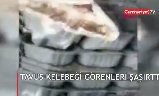 Görür görmez cep telefonuyla kaydetti