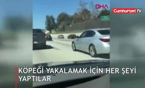 Otoyoldaki köpeği yakalamak için her şeyi yaptılar