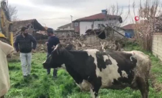 Depremin vurduğu Acıpayam'da evler yıkıldı