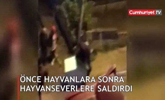 Önce hayvanlara sonra hayvanseverlere saldırdı!