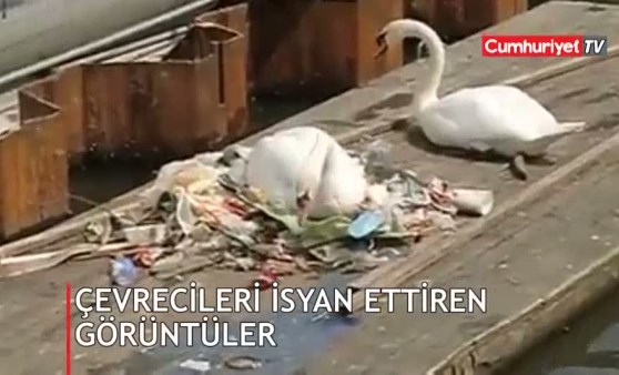 Çevrecileri ayağa kaldıran görüntüler