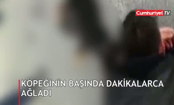 Köpeğinin başında dakikalarca ağladı