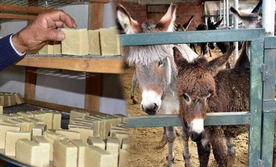 Faydaları say say bitmiyor! Talep artınca seri üretime geçti