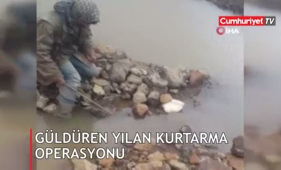 Sosyal medyayı kahkahaya boğan yılan kurtarma videosu