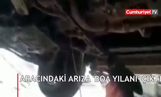 Sesleri duyunca fark etti! Aracın içinden çıkan şoke etti