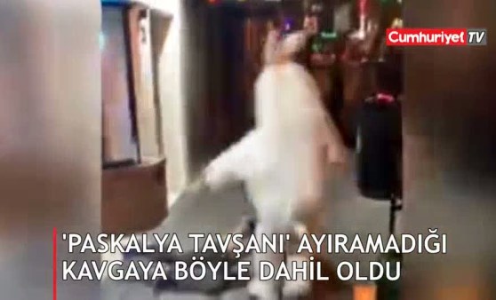 ‘Paskalya tavşanı’ ayıramadığı kavgaya dâhil oldu (23.04.2019)(Video Haber)