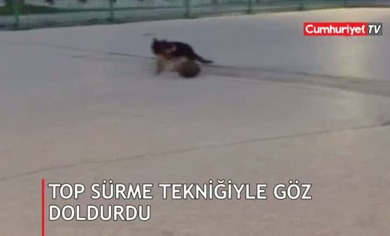 Futbol düşkünü köpek görenleri hayretler içinde bırakıyor