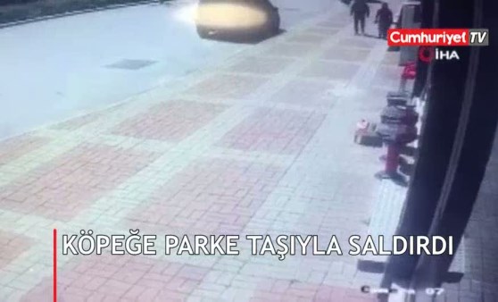 Kasap önünde kemik bekleyen köpeğe, parke taşıyla saldırdı