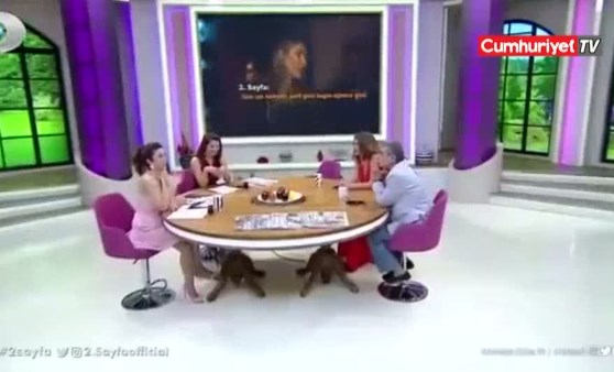 Kısmetse Olur yarışmacısı tanınmaz halde! (30.04.2019)(Video Haber)