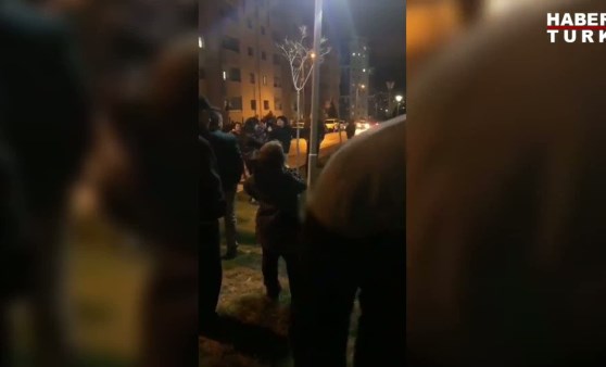 Ankara'da köpek katliamı