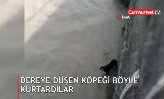 Dereye düşen köpeği böyle kurtardılar