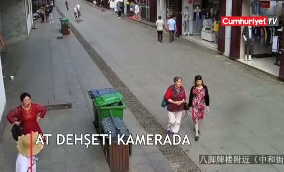 Yayaları ezen at polis tarafından öldürüldü! Korkunç an kamerada