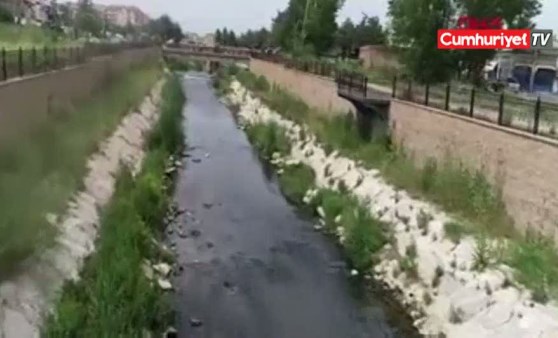 Şeytan Deresi'nde binlerce balık öldü