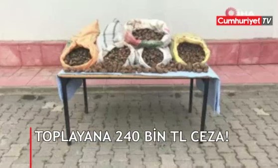 Toplayanlara bugün de 240 bin TL ceza kesildi!