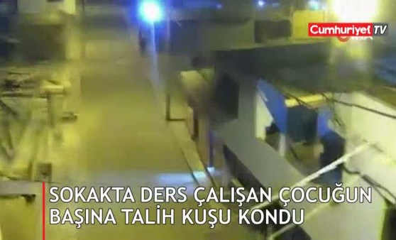 Sokakta ders çalışan çocuğun başına talih kuşu kondu