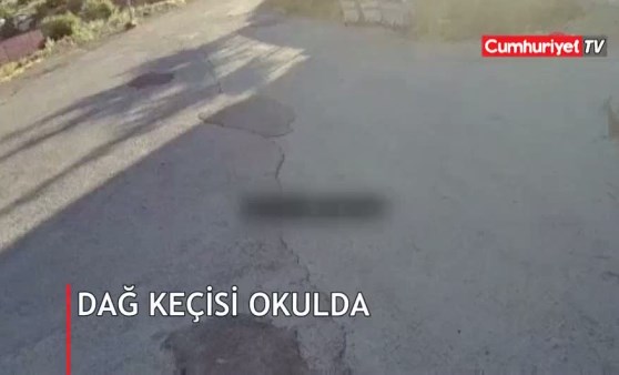 Bu görüntüler Elazığ'da kaydedildi