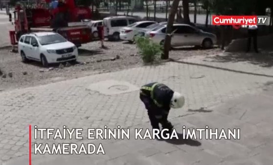 İtfaiye erinin karga ile imtihanı