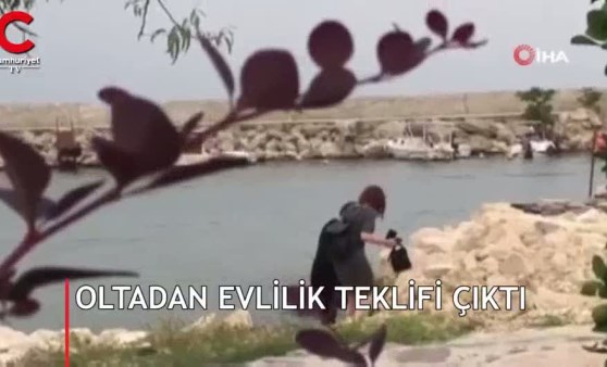 Sıra dışı evlilik teklifi kamerada