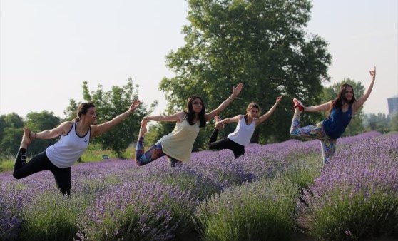 Yer Edirne: Lavanta tarlasında yoga sonra mesai