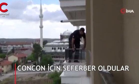 Concon için seferber oldular