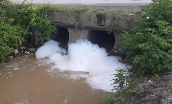 Sapanca'da korkutan görüntü