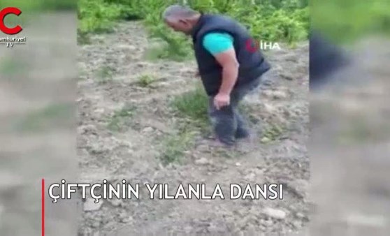 Çiftçinin yılanla dansı