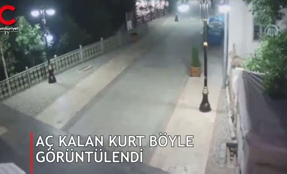 Gece saatlerinde ortaya çıktı! İşte o anlar