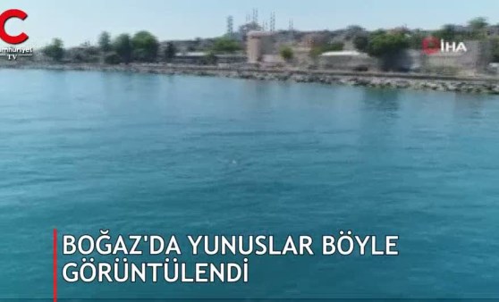 İstanbul Boğazı’nda aniden ortaya çıktı