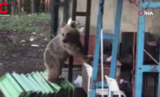 ‘Bak hele hiç beni takıyor mu?’