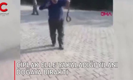 Yatak odasında yılan paniği! Çıplak elle yakaladı