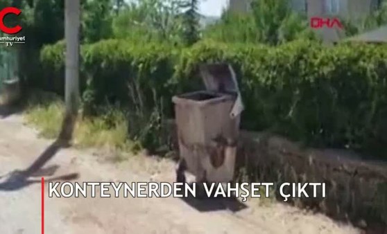 Konteynerden vahşet çıktı!