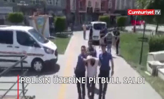 Polislerin üzerine pitbull saldı!