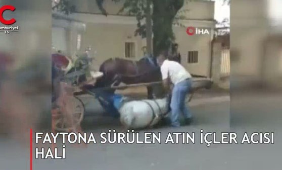 Yürek yakan anlar! Daha fazla dayanamadı yere düştü