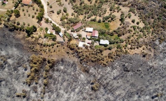 Muğla'da yanan ormanlık alan havadan görüntülendi