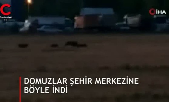 Yer: Sivas... Hayatında ilk kez gördü: Korkuyoruz